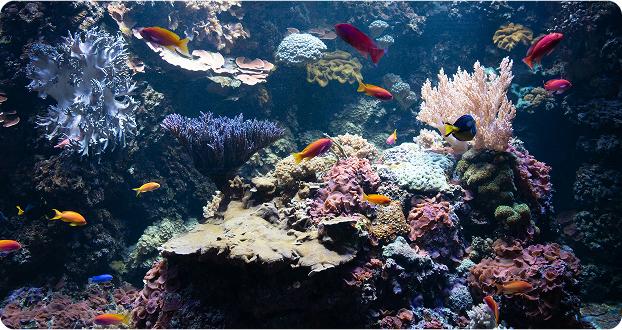 Flow rate chart showing performance curves for models 100, 150, and 200